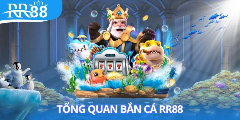 tong-quan-ban-ca-rr88